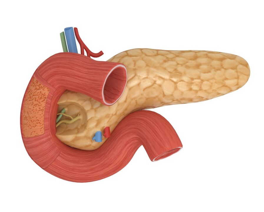 Good sensitivity to pancreatic insulin after administration of Glucoren