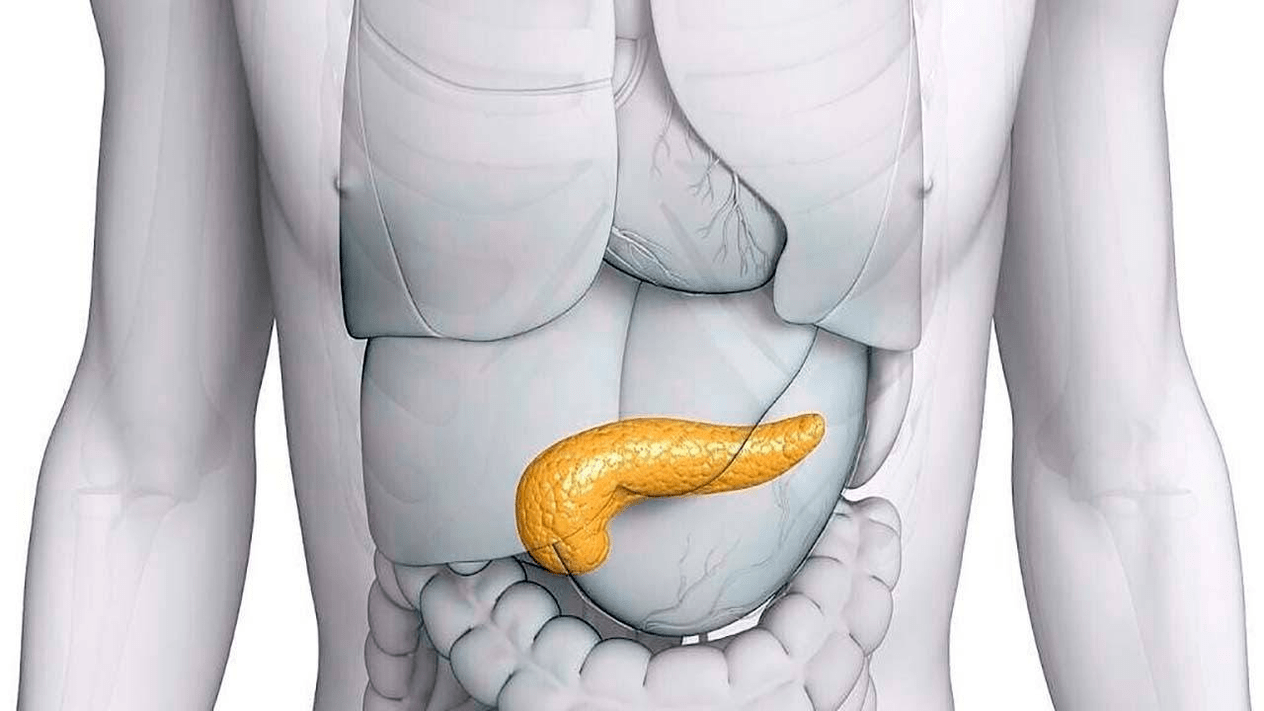 healthy pancreas after using Glucoren